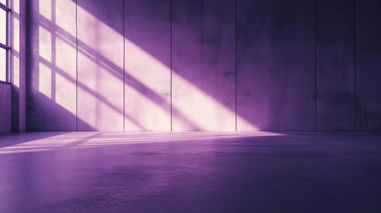 Clean empty space with sunlight streaming in after bulky waste removal